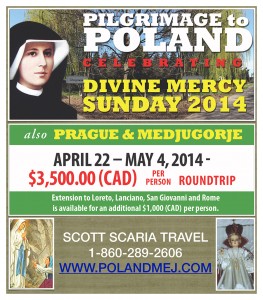Scaria Travel WEB AD
