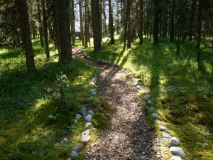 The Emmaus Road Prayer Walk, King's Fold - photo by Michelle Newsham