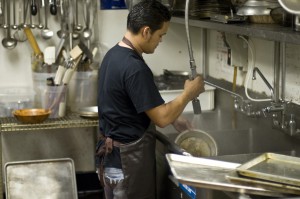 immigrant dishwasher_EXC