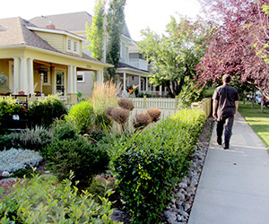 Calgary's historic Kensington district.