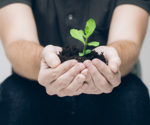 Book Review holding plant LARGE