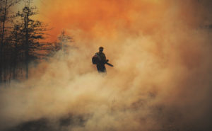 firefighter in forest fire