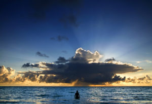 image for June poem