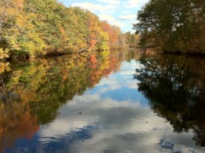 Artichoke River, bordering the Emery House property