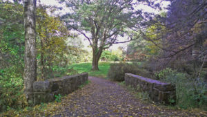 Woods near Emery House